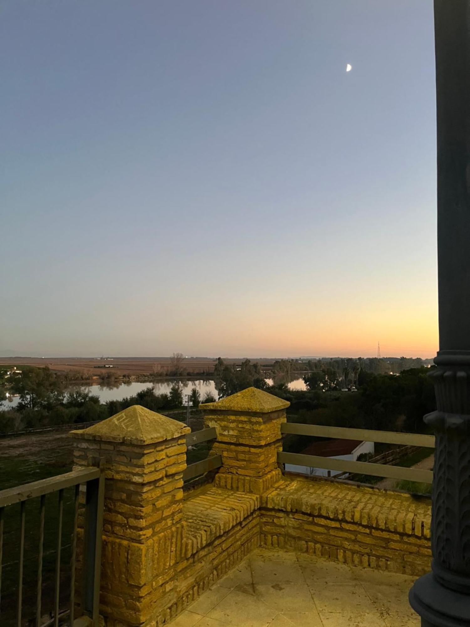 Estudio Las Palmillas Puebla del Río Eksteriør billede